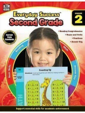 Everyday Success Educational Workbook Grade 2 Read Comprehension Math Nouns 2011